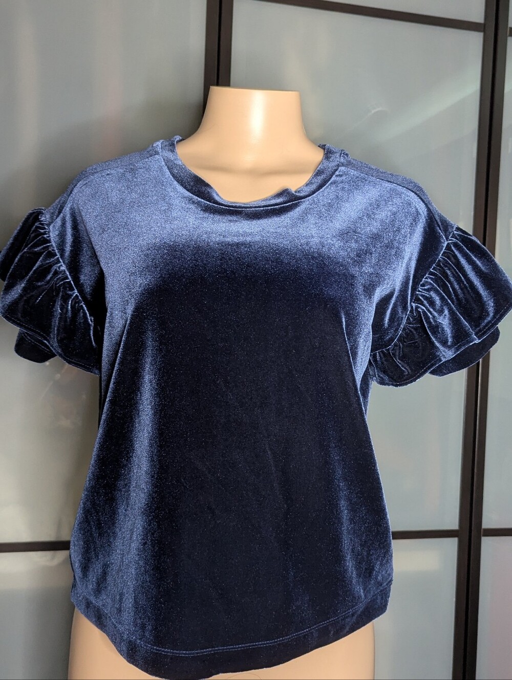Madewell Navy Velvet Ruffle Sleeve Tee